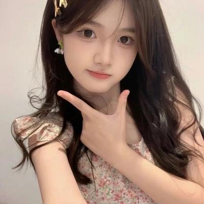 极速小绵羊